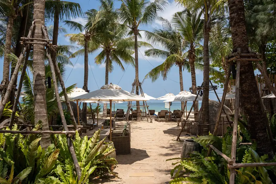 A beach club on the sand — Bang Tao Beach, Phuket · The Title Cocoon