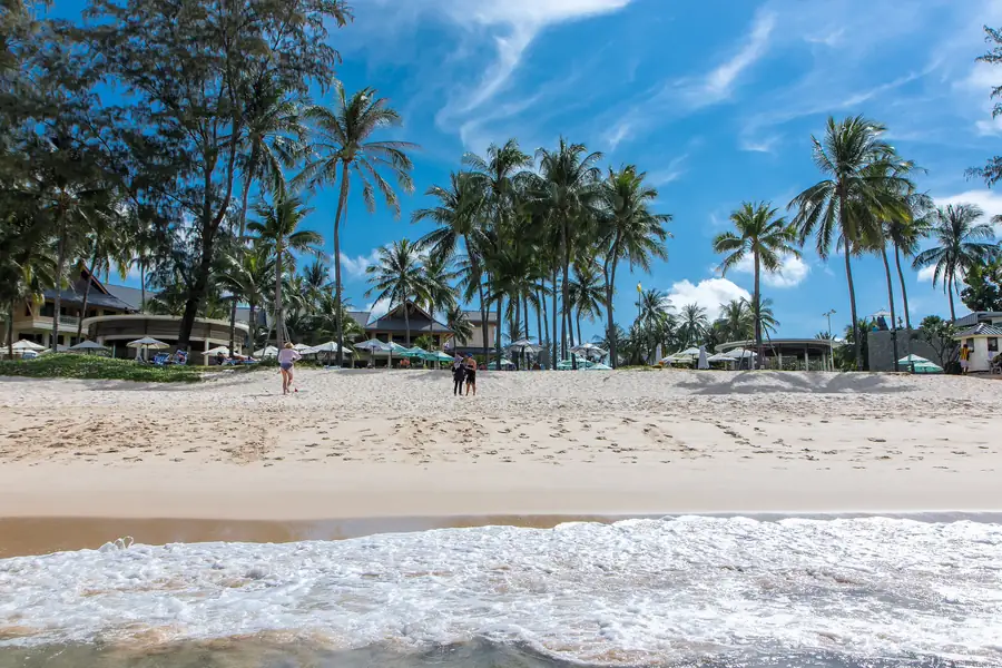 Coconut palms along the beach — Bang Tao Beach, Phuket · The Title Cocoon